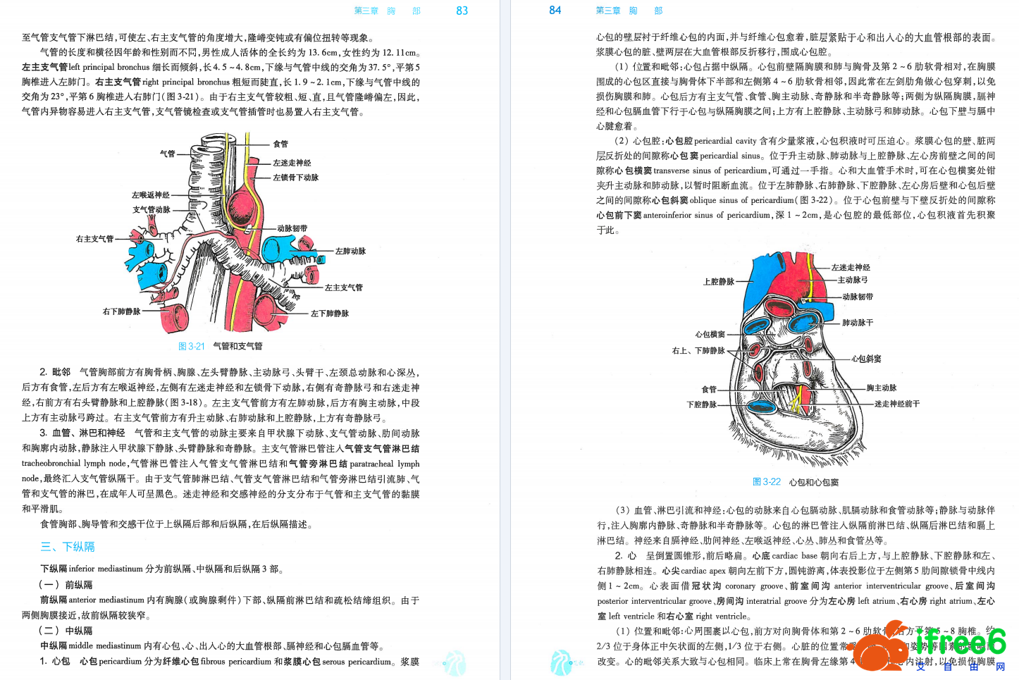 《局部解剖学》（第9版）PDF-人卫版 | 艾自由网
