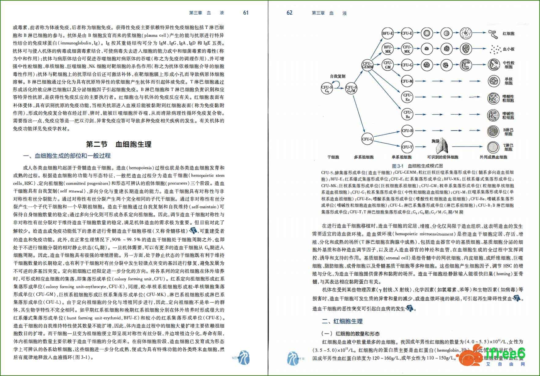 《生理学》第9版 PDF-人卫版 | 艾自由网
