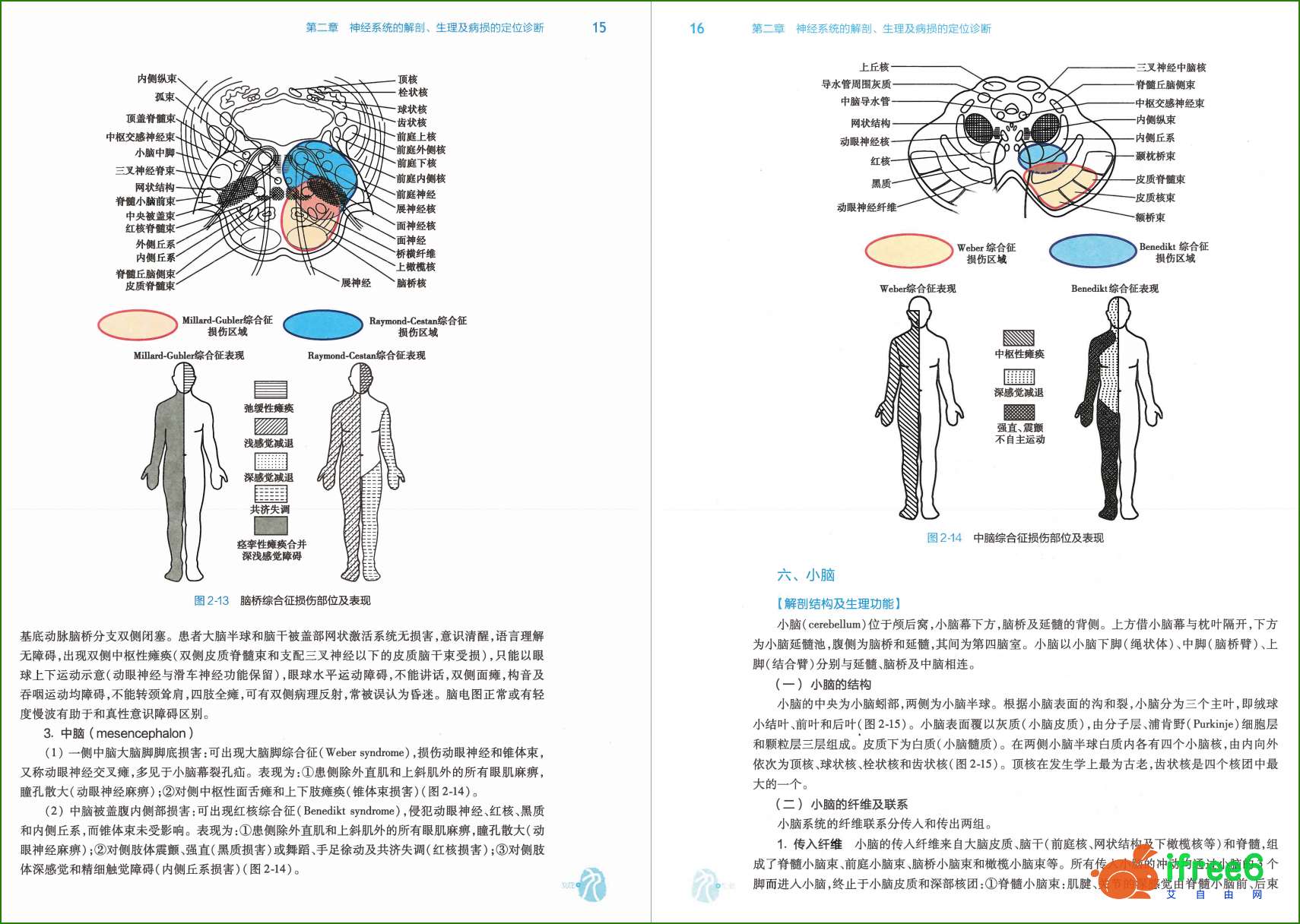 《神经病学》第8版 人卫版 PDF电子书 | 艾自由网