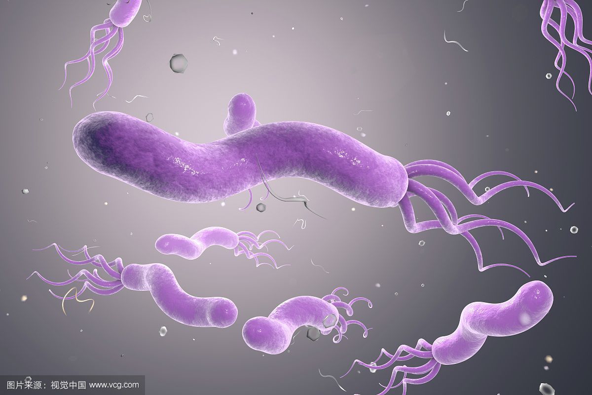 发现幽门螺杆菌感染，不治疗会得胃癌吗？ | 艾自由网