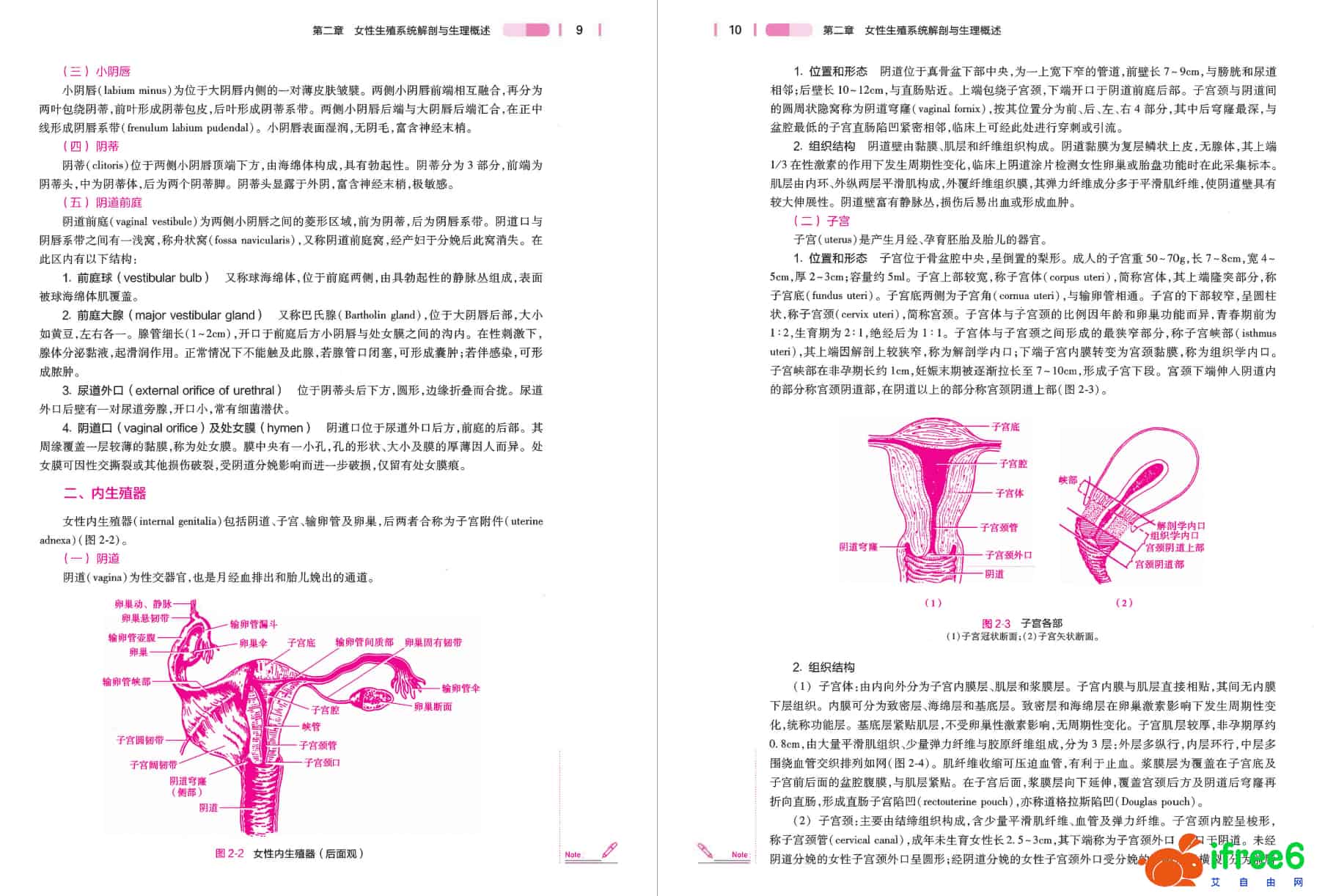 《妇产科护理学》第7版_安力彬,陆虹主编pdf | 艾自由网