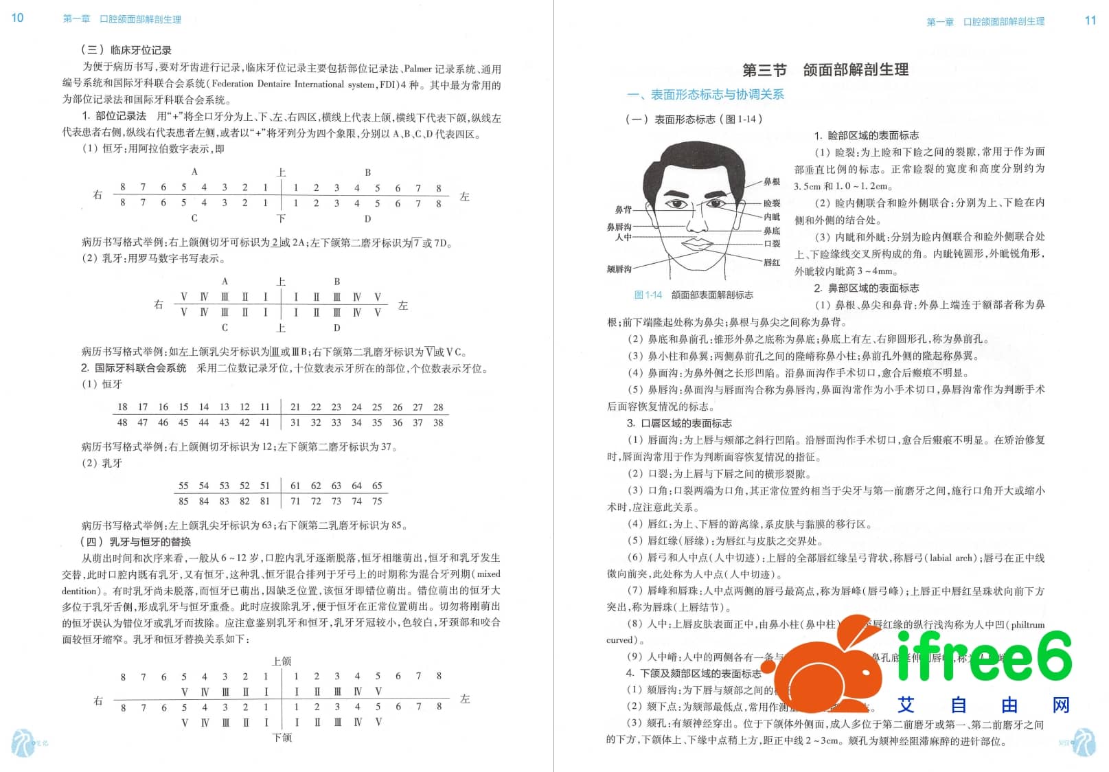 《口腔科学》第9版_张志愿主编pdf | 艾自由网
