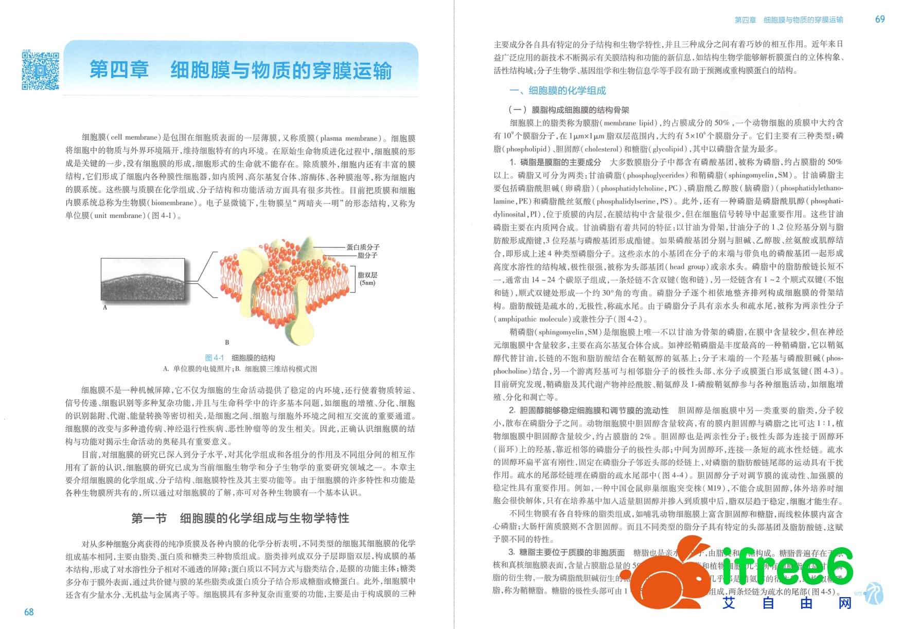《医学细胞生物学》第6版_陈誉华,陈志南主编pdf | 艾自由网